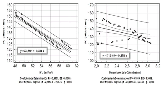 Figura 5